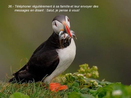 Divers - 40 conseils de la Nature - dernière partie Divers - 40 conseils de la Nature - dernière partie