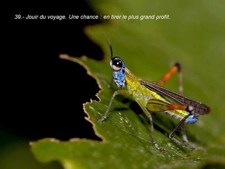 Divers - 40 conseils de la Nature - dernière partie Divers - 40 conseils de la Nature - dernière partie