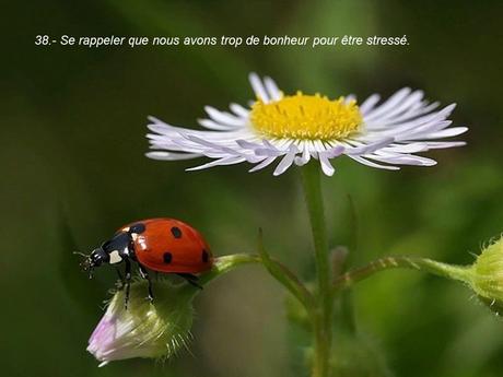 Divers - 40 conseils de la Nature - dernière partie Divers - 40 conseils de la Nature - dernière partie