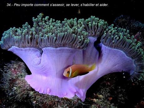 Divers - 40 conseils de la Nature - dernière partie Divers - 40 conseils de la Nature - dernière partie