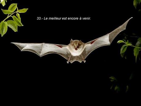 Divers - 40 conseils de la Nature - dernière partie Divers - 40 conseils de la Nature - dernière partie