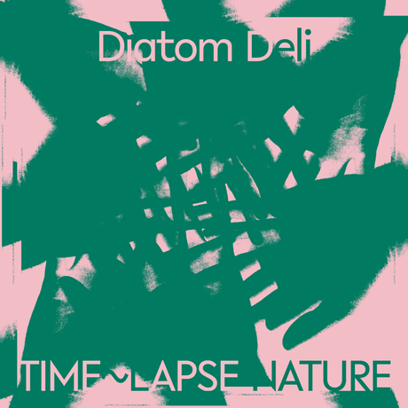 Diatom Deli ‘ Time~Lapse Nature