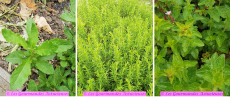 Riz crémeux et son huile super aromatique (Vegan) Riz crémeux et son huile super aromatique (Vegan)