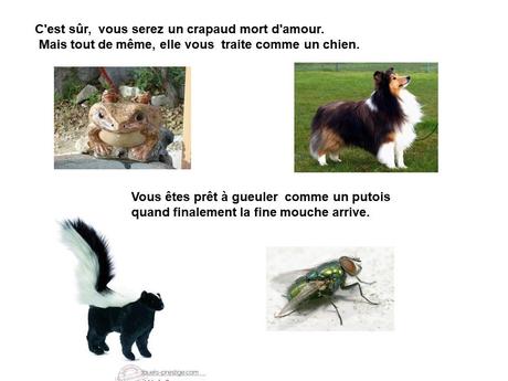 Divers - Des tournures de la langue française