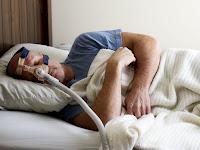 La Sirène, Le Pirate & Branchements au Lit La Sirène, Le Pirate & Branchements au Lit