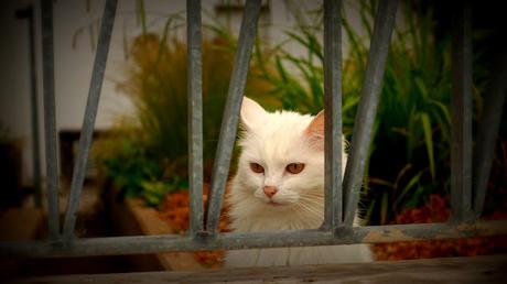 depuis le temps depuis le temps