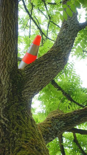 depuis le temps depuis le temps