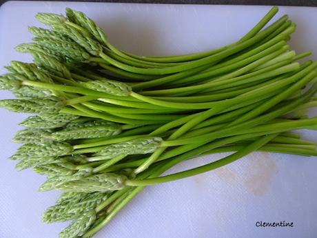 Tagliatelle aux ornithogales (asperges des bois)