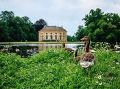 Vögel Schlosspark Nymphenburg Bilder oiseaux parc photos