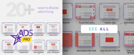 10 plugins WordPress géniaux (2022 mis à jour) Annonces Pro