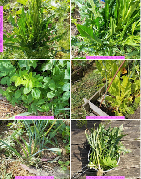 Sauce rapide pour un reste de pâtes (Vegan) Sauce rapide pour un reste de pâtes (Vegan)