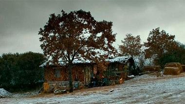 Le Poirier sauvage de Nuri Bilge Ceylan