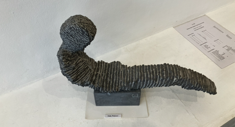 Galerie La Capitale – exposition : Maurice Mata -Vigintas Stankus- Zeynep Yuksel – jusqu’au 11 Juin 2022.