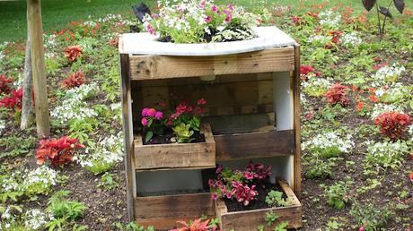 aversion des couleurs