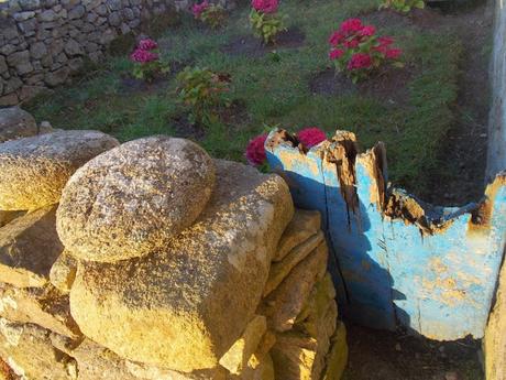 aversion des couleurs