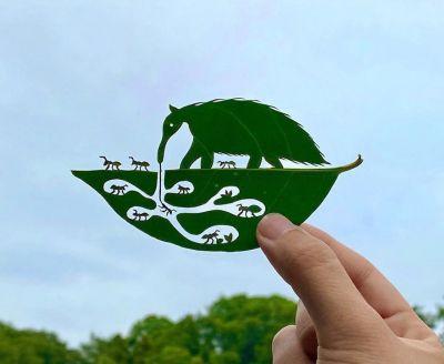 Sculpture de feuilles d'arbres par Lito Leaf Art