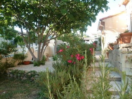 BONJOUR JUIN (citations et jardin) juin,météo,temps,pluie,jardin,jardinage,plantes,fleurs