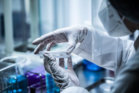 Clostridioides difficile ou C. difficile est sans doute le premier des « fléaux bactériens » dans les soins de santé (Visuel Adobe Stock 366409754) Clostridioides difficile ou C. difficile est sans doute le premier des « fléaux bactériens » dans les soins de santé (Visuel Adobe Stock 366409754)