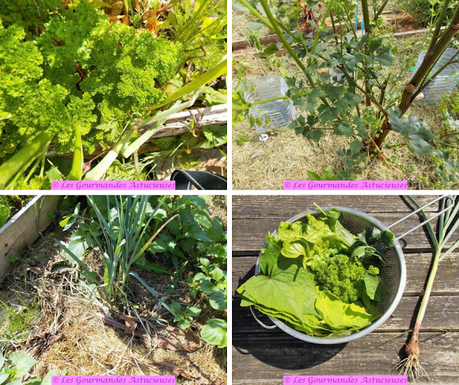 Lentilles en sauce à la cacahuète (Vegan)