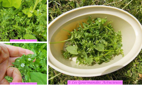 Lentilles en sauce à la cacahuète (Vegan)