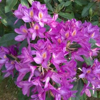 img_20220509_200631_423 img_20220509_200631_423