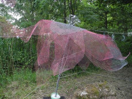 Guinguettes de l'Yvette 2022 - 30e anniversaire DSCN0008