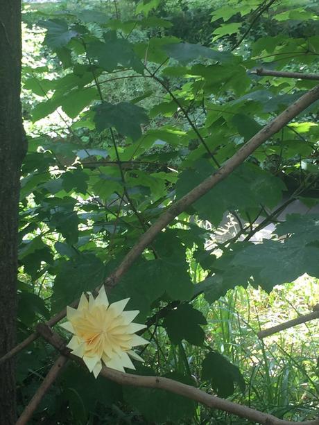 Guinguettes de l'Yvette 2022 - 30e anniversaire IMG_4468