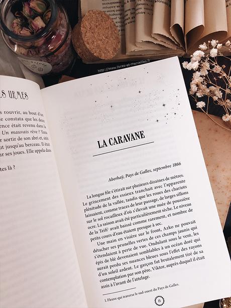 Roman jeunesse : Le crépuscule des urmes