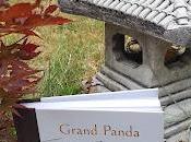 Grand Panda Petit Dragon James Norbury