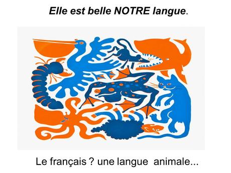 La France - Elles est belle notre langue - 1