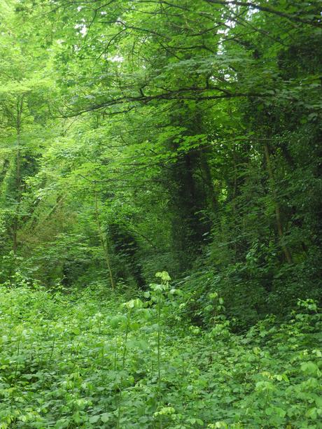 Guinguettes de l'Yvette 2022, quelques images du samedi DSCN0005