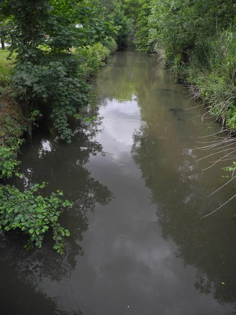 Guinguettes de l'Yvette 2022, quelques images du samedi DSCN0014