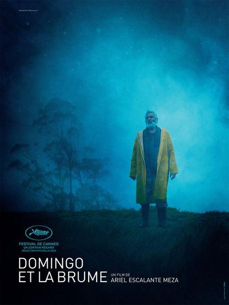 [CRITIQUE] : Domingo et la Brume