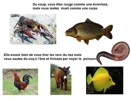 La France - Elles est belle notre langue - 2