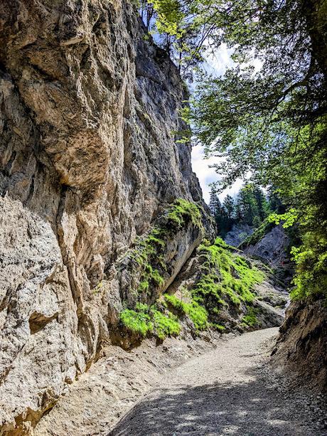 Hüttlebachklamm und Aussichstpunkt Schwarzkopf in  Krün — 30 Bilder