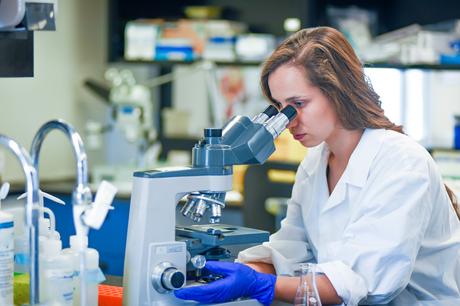 Sous l'action de l'antibiotique, la réduction du nombre de bactéries intestinales laisse plus de place aux champignons pour se multiplier (Visuel Adobe stock 313527752).