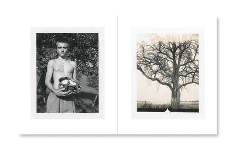 COLLIER SCHORR – AUGUST