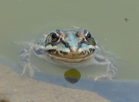 [Projet 52-2022] #23 – Point météo