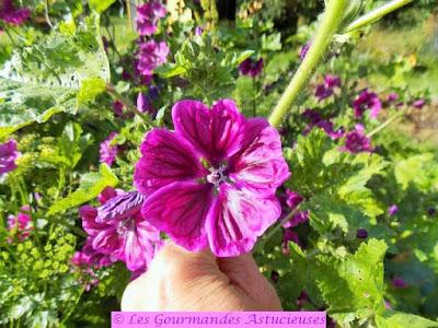 Tarte Vegan aux champignons, petits pois et épinards d'Asie Tarte Vegan aux champignons, petits pois et épinards d'Asie