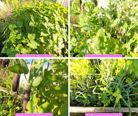 Tarte Vegan aux champignons, petits pois et épinards d'Asie Tarte Vegan aux champignons, petits pois et épinards d'Asie