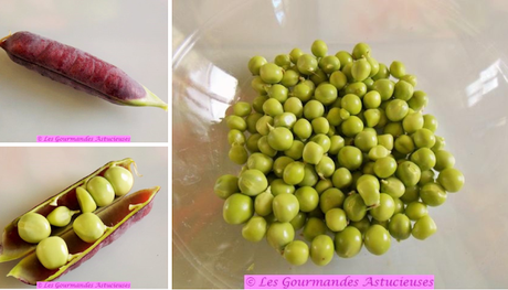 Tarte Vegan aux champignons, petits pois et épinards d'Asie Tarte Vegan aux champignons, petits pois et épinards d'Asie