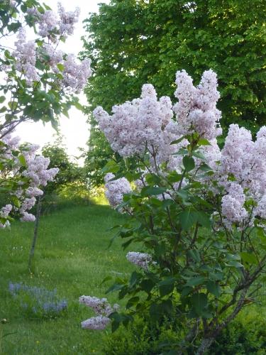 carnet-photo,lumière,photo,instants,quotidien,jours,grands jours,blog littéraire de christian cottet-emard,petit déjeuner,christian cottet-emard,vie quotidienne