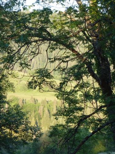 carnet-photo,lumière,photo,instants,quotidien,jours,grands jours,blog littéraire de christian cottet-emard,petit déjeuner,christian cottet-emard,vie quotidienne