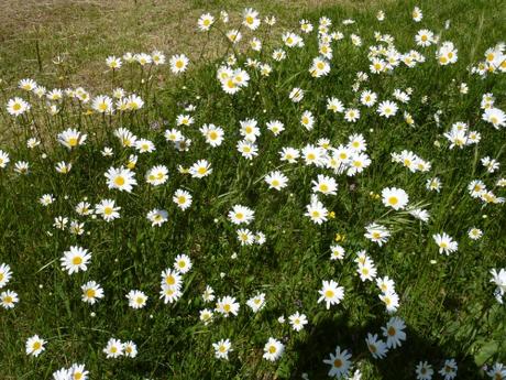 carnet-photo,lumière,photo,instants,quotidien,jours,grands jours,blog littéraire de christian cottet-emard,petit déjeuner,christian cottet-emard,vie quotidienne