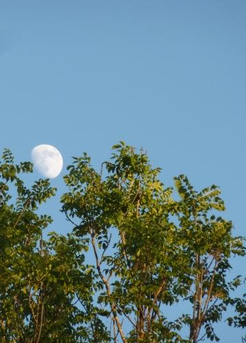 carnet-photo,lumière,photo,instants,quotidien,jours,grands jours,blog littéraire de christian cottet-emard,petit déjeuner,christian cottet-emard,vie quotidienne