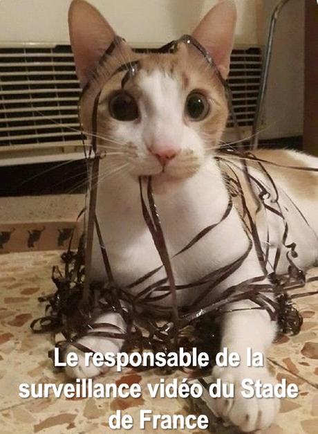 Cacher la réalité, quoi qu’il en coûte