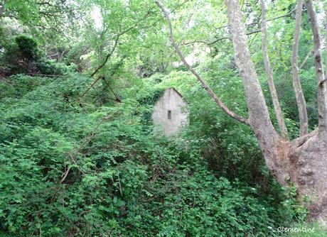 Flânerie le long du ruisseau du Moulin à Canet en Roussillon Flânerie le long du ruisseau du Moulin à Canet en Roussillon