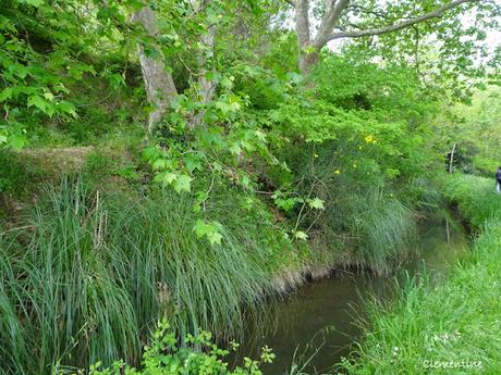 Flânerie le long du ruisseau du Moulin à Canet en Roussillon