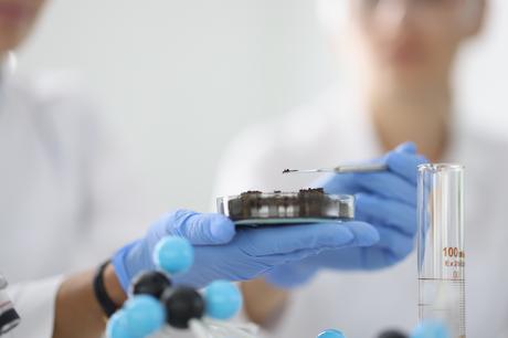 L'étude précise le rôle crucial des minéraux dans la régulation de l'expression des gènes impliqués dans le renouvellement, la restauration et la croissance des tissus lésés (Visuel Adobe Stock 391494199) L'étude précise le rôle crucial des minéraux dans la régulation de l'expression des gènes impliqués dans le renouvellement, la restauration et la croissance des tissus lésés (Visuel Adobe Stock 391494199)