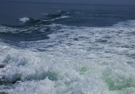 le pêcheur, l'enseigne de vaisseau, la torpille et le mur du temps. ( Claudio Magris )